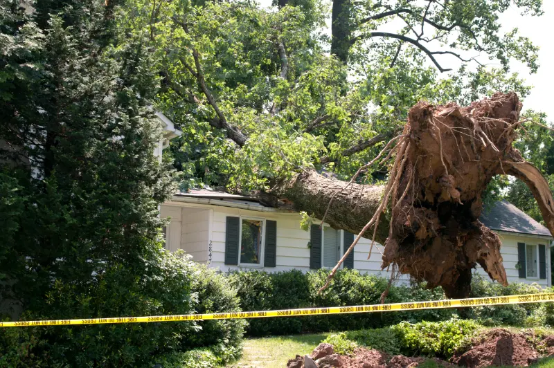 Sandy Springs Storm Damage