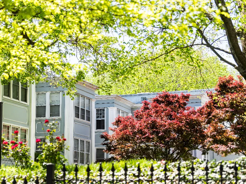 Red-leaved trees and green foliage in front of a light blue residential building on a sunny day.