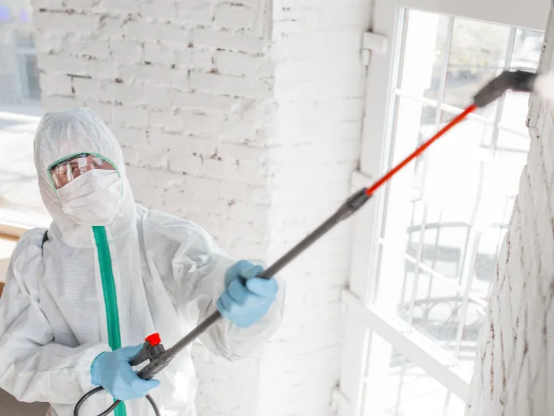 Person in protective suit and mask disinfecting a white brick wall near a window with a sprayer.