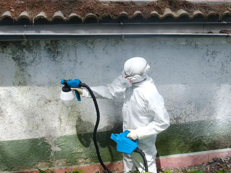 Person in protective suit spraying disinfectant on a moldy exterior wall.