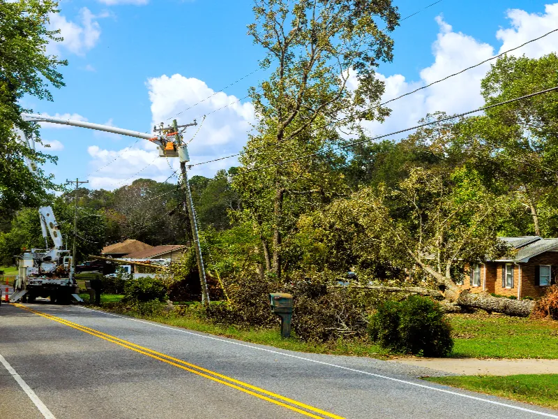 Utility workers in bucket trucks repairing power lines near a fallen tree beside a residential road.